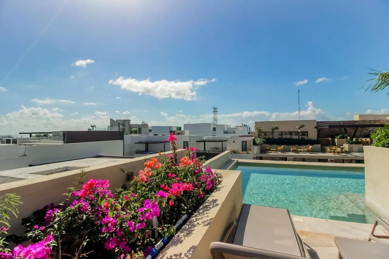 ホテル Sea Breezes Studio At Syrena 409 プレヤデルカーメン